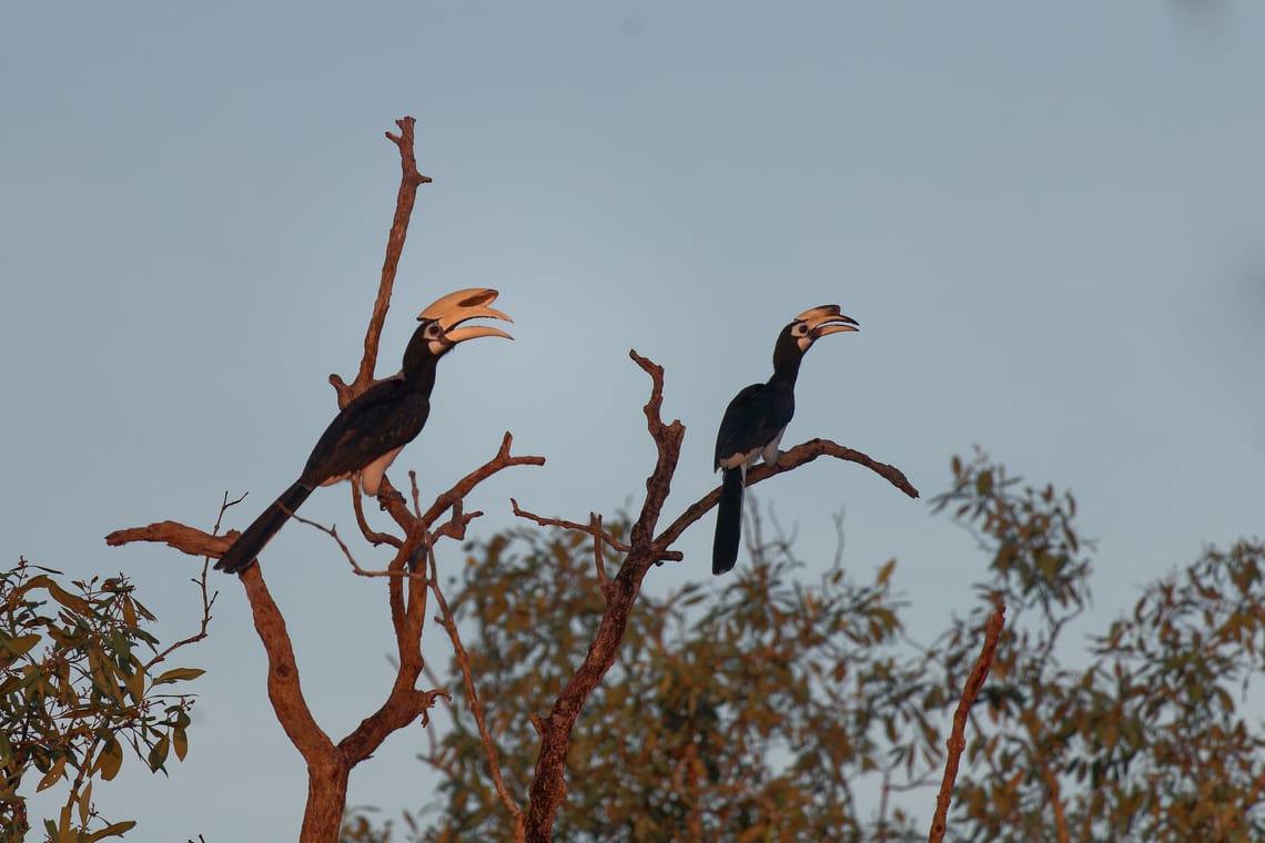 Singapore - Pasir Ris