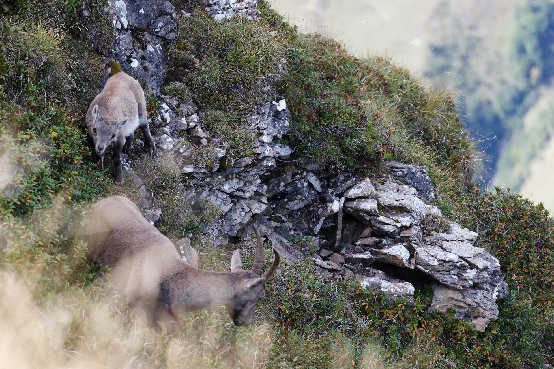 Merlingen - Niederhorn